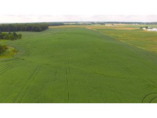 Property photo 10 - REAL ESTATE AUCTION - 116.5+/- ACRES IN 9 TRACTS WITH 2 FARMS IN NOBLE COUNTY, INDIANA